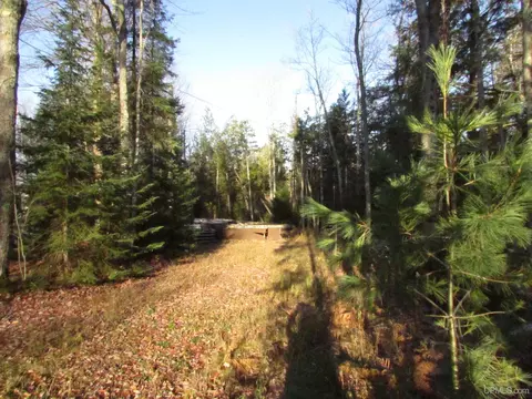 9935 M94, Manistique, MI 49854
