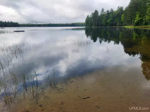 30 Acres Rawnick, Iron River, MI 49935