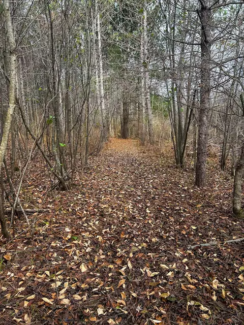 40 Acres Hilts, Gladwin, MI 48624 photo 23