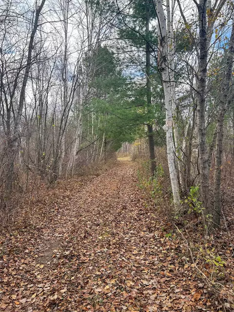 40 Acres Hilts, Gladwin, MI 48624 photo 15