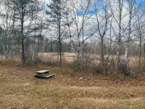 40 Acres Hilts, Gladwin, MI 48624 photo 14