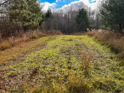 40 Acres Hilts, Gladwin, MI 48624 photo 22