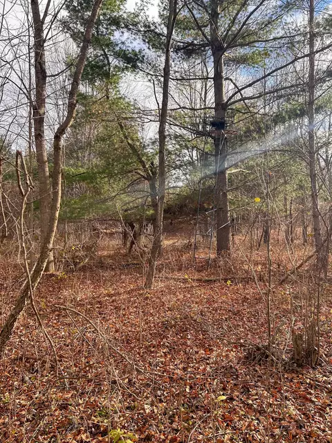 40 Acres Hilts, Gladwin, MI 48624 photo 19