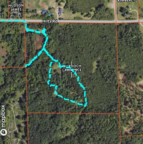40 Acres Hilts, Gladwin, MI 48624 photo 37