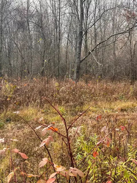 40 Acres Hilts, Gladwin, MI 48624 photo 21