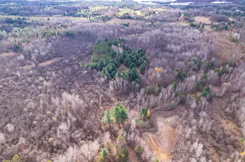40 Acres Hilts, Gladwin, MI 48624 photo 7