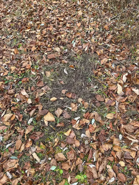 40 Acres Hilts, Gladwin, MI 48624 photo 29