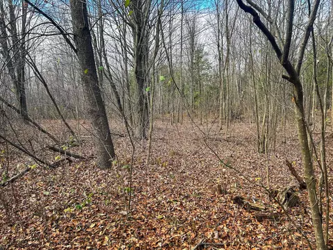 40 Acres Hilts, Gladwin, MI 48624 photo 18
