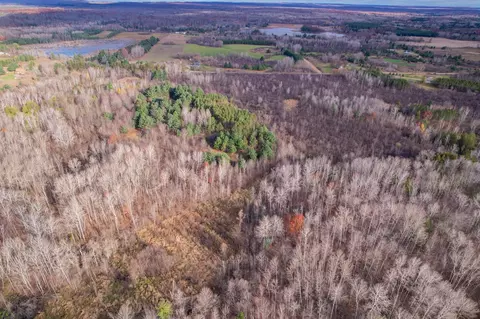 40 Acres Hilts, Gladwin, MI 48624 photo 3