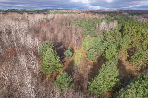 40 Acres Hilts, Gladwin, MI 48624 photo 4