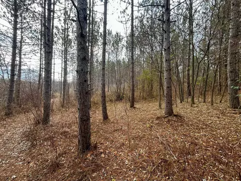 40 Acres Hilts, Gladwin, MI 48624 photo 24
