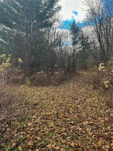 40 Acres Hilts, Gladwin, MI 48624 photo 17