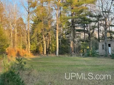n17256 Wild Tree Drive, Pembine T-wi, WI 54156