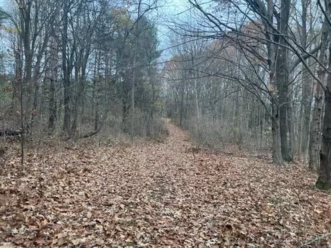00 Beard, Avoca, MI 48006 photo 8