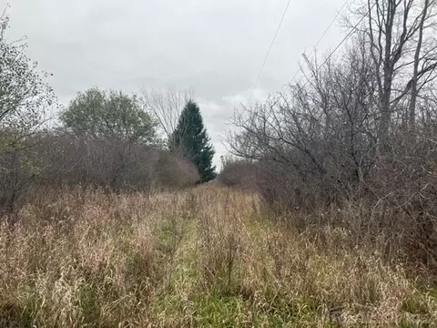 00 Beard, Avoca, MI 48006 photo 7