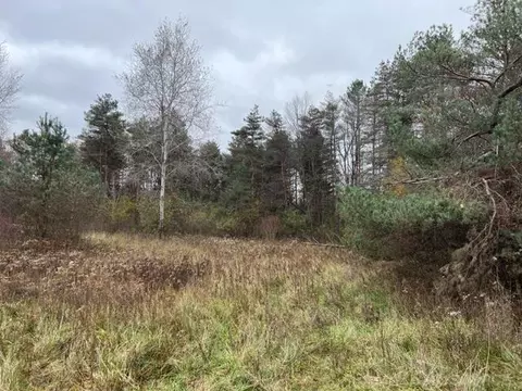 00 Beard, Avoca, MI 48006 photo 5