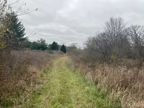 00 Beard, Avoca, MI 48006 photo 6