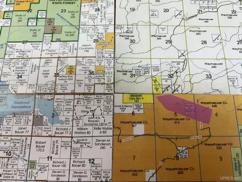 tbd Off East Fordville, Hardwood, MI 49807