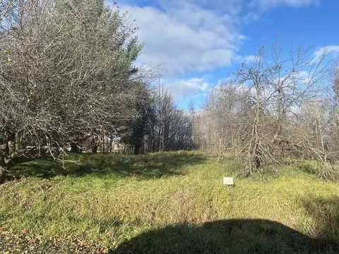 22 Brassie, Gladwin, MI 48624 photo 2