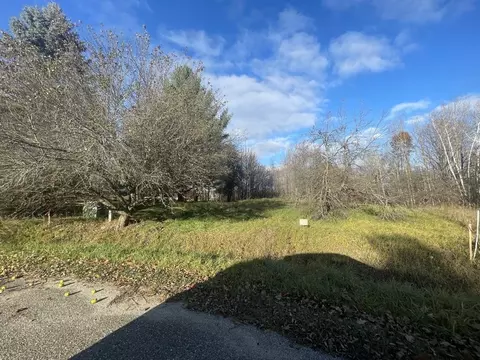 22 Brassie, Gladwin, MI 48624 photo 3