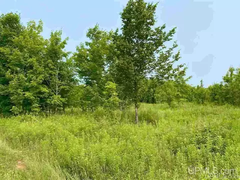 Tbd Southside, Manistique, MI 49854