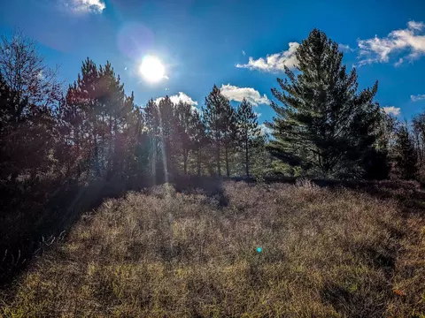 6100 W Maple Grv, Farwell, MI 48622