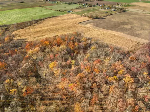 6000 Bailey, Adrian, MI 49221 photo 13