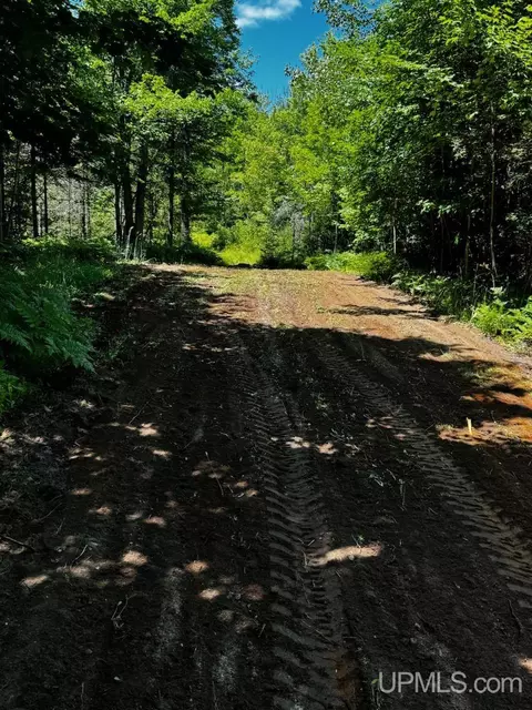 tbd Co Rd Fd, Champion, MI 49814