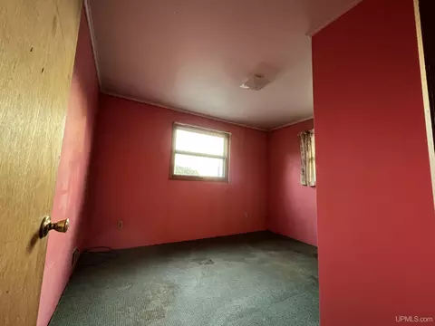 217 Wright, Hancock, MI 49930 photo 17