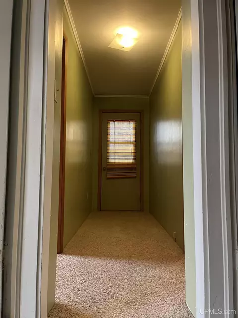 217 Wright, Hancock, MI 49930 photo 19