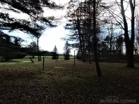3931 Applegate, Applegate, MI 48401 photo 15