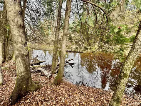 2011 F, Bark River, MI 49807 photo 38