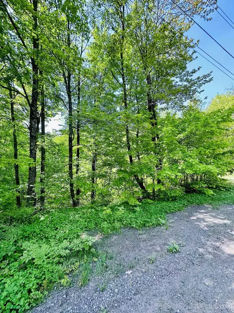 13 Woodlawn, Negaunee, MI 49866