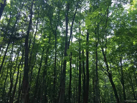 14 Acres Cr Kch, Ishpeming, MI 49849 photo 3