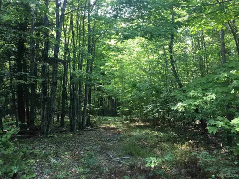 14 Acres Cr Kch, Ishpeming, MI 49849 photo 4