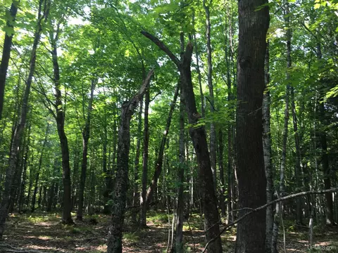 14 Acres Cr Kch, Ishpeming, MI 49849 photo 5