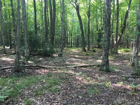 14 Acres Cr Kch, Ishpeming, MI 49849 photo 6