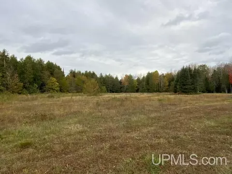 1898 Rm, Rock, MI 49880 photo 47