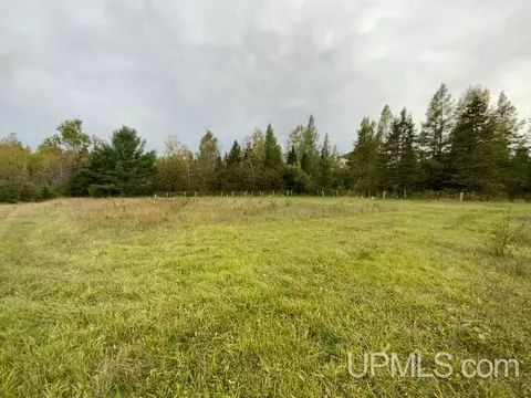 1898 Rm, Rock, MI 49880 photo 44