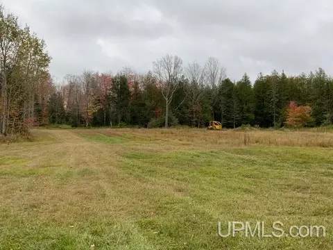 1898 Rm, Rock, MI 49880 photo 32