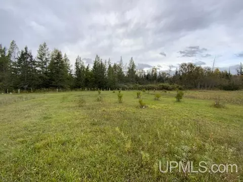 1898 Rm, Rock, MI 49880 photo 43