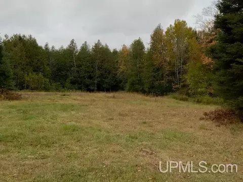 1898 Rm, Rock, MI 49880 photo 33