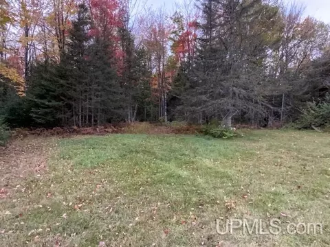 1898 Rm, Rock, MI 49880 photo 51