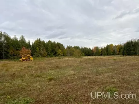 1898 Rm, Rock, MI 49880 photo 46
