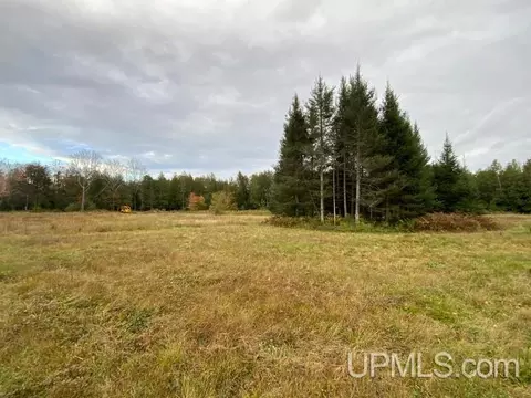 1898 Rm, Rock, MI 49880 photo 30