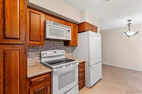 2386 E Clearview, Adrian, MI 49221 photo 25