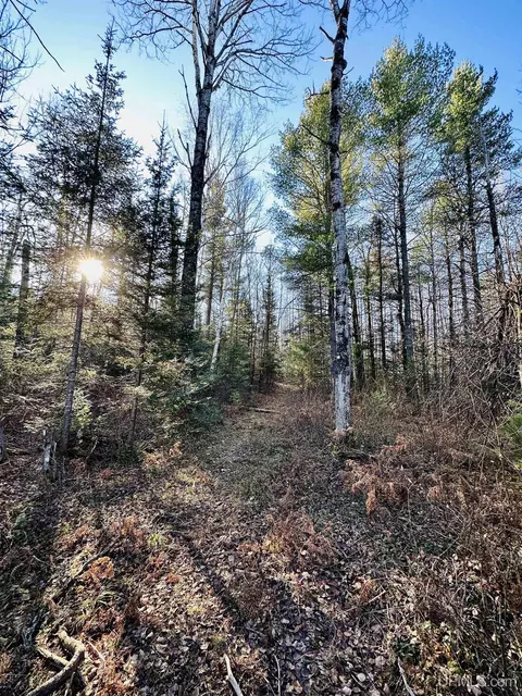 Tbd W Chain Lakes, Gwinn, MI 49841