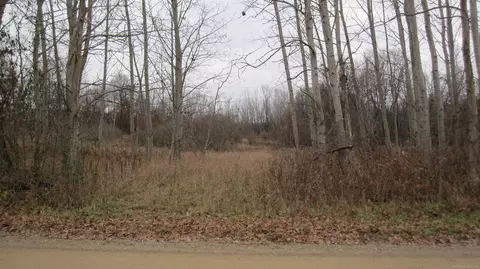 Vl 0 Oak Grove, North Branch, MI 48461