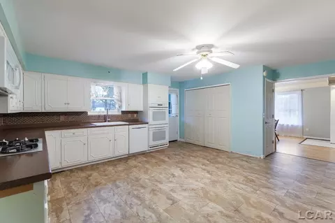 212 E Shawnee, Tecumseh, MI 49286 photo 10