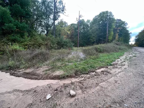 2160 E Gladwin Rd, Harrison, MI 48625 photo 16